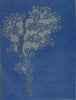 1086 - Oriental Tree - Starform Stickers